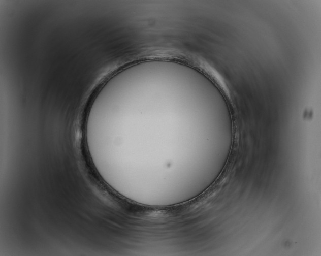 X0000103910059200809191129