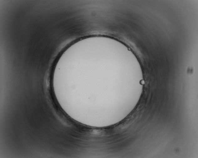 X0000103910060200809191129