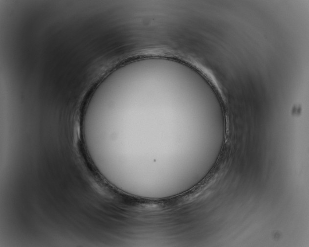 X0000103910061200809191129