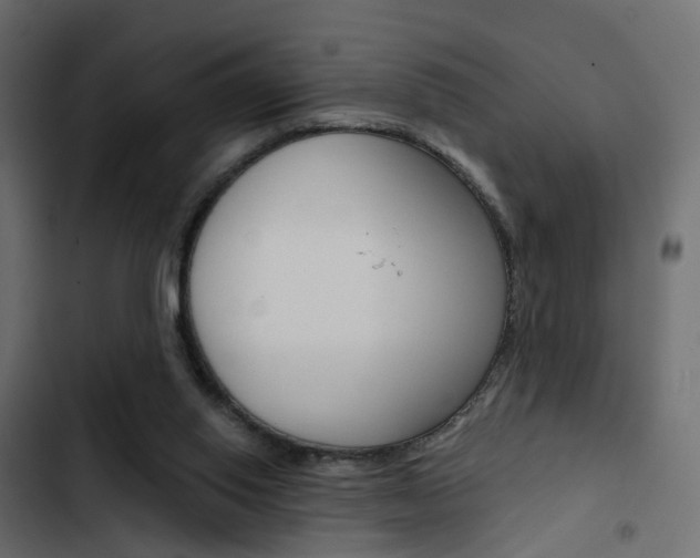 X0000103910062200809191129