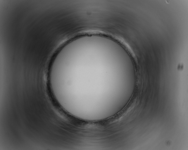 X0000103910063200809191129