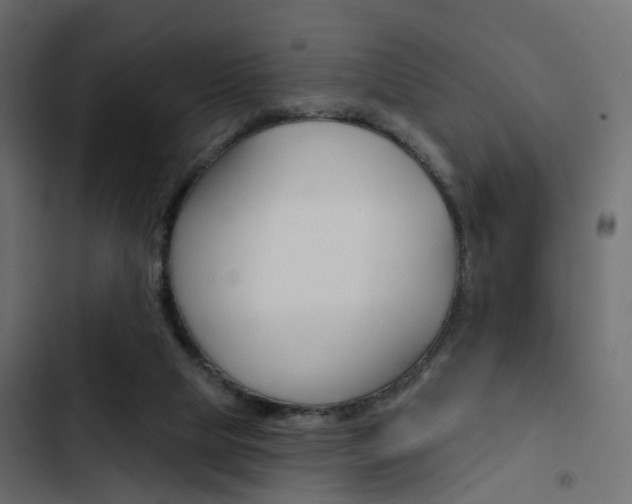 X0000103910065200809191129