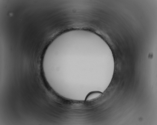 X0000103910066200809191129