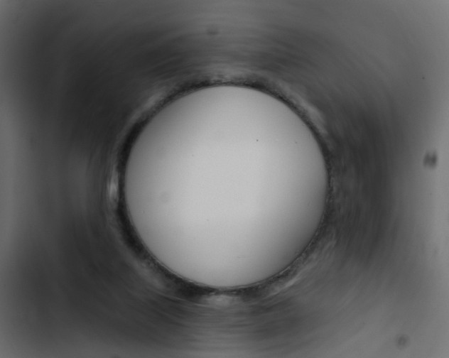 X0000103910067200809191129