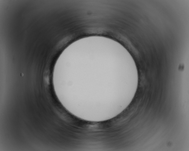X0000103910068200809191129