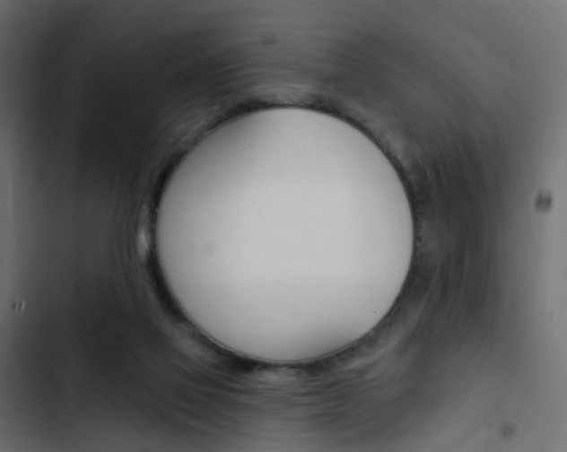 X0000103910069200809191129