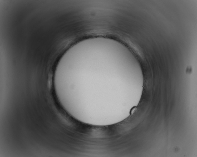 X0000103910070200809191129