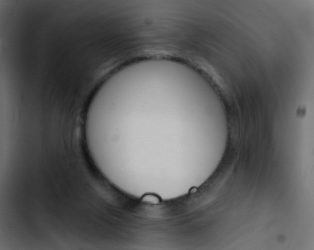 X0000103910071200809191129