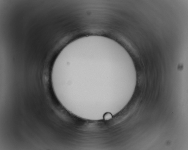 X0000103910072200809191129