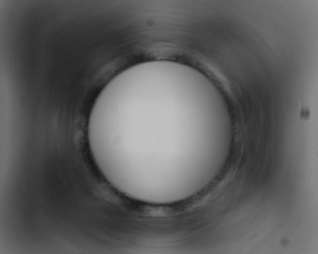 X0000103910073200809191129
