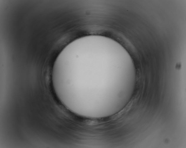 X0000103910074200809191129