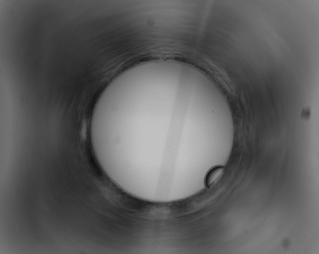 X0000103910075200809191129