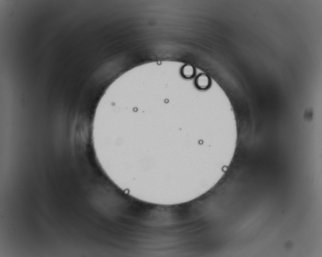 X0000103910076200809191129