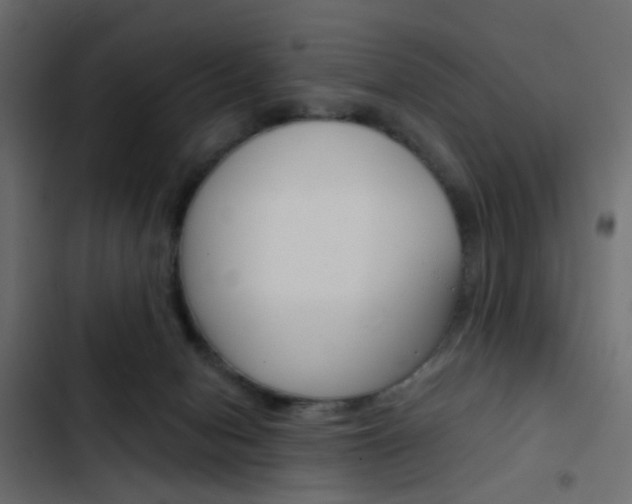 X0000103910078200809191129