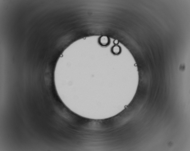 X0000103910080200809191129