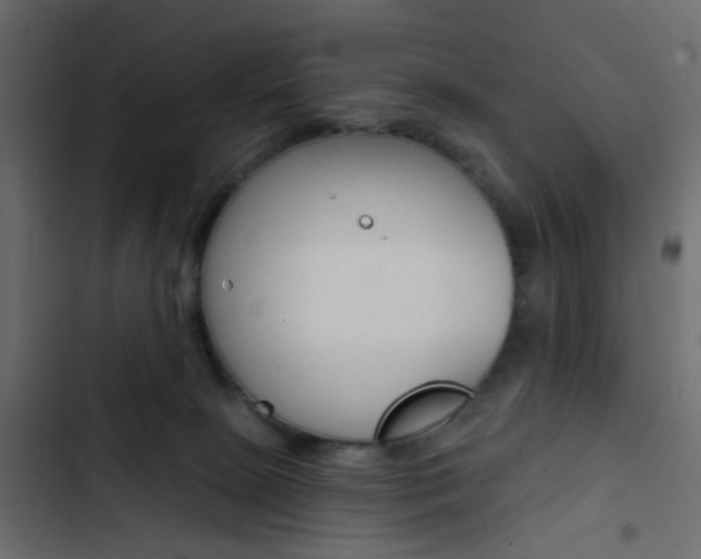 X0000103910081200809191129