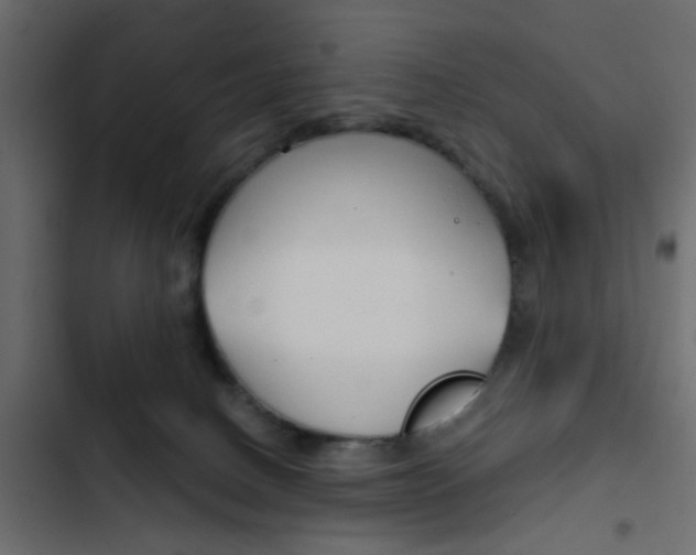 X0000103910082200809191129