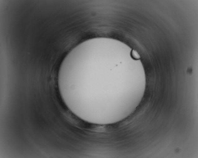 X0000103910083200809191129