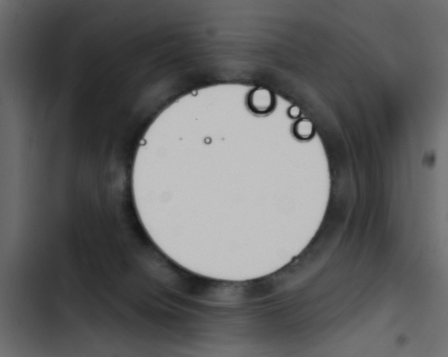 X0000103910084200809191129
