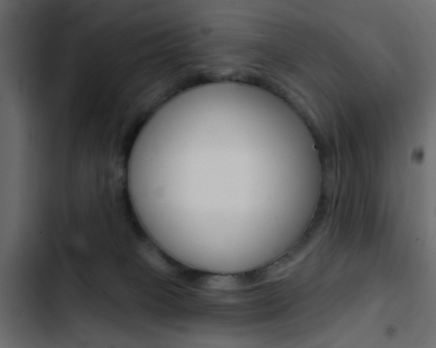 X0000103910085200809191129