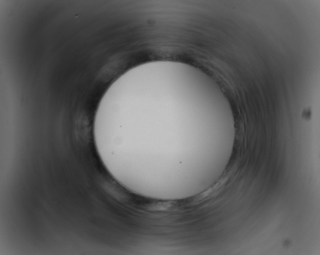 X0000103910086200809191129