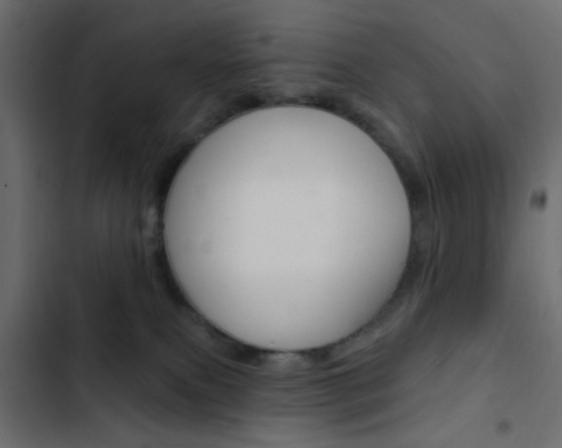 X0000103910087200809191129