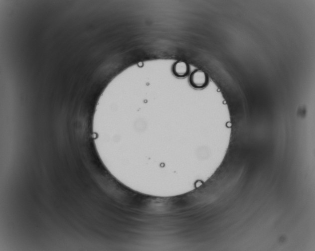 X0000103910088200809191129