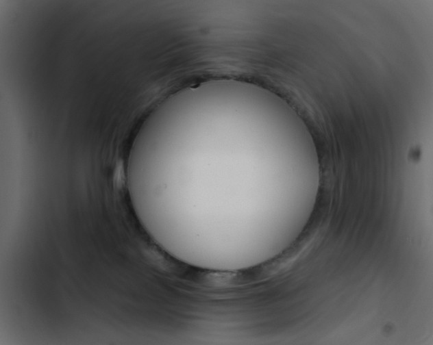 X0000103910089200809191129