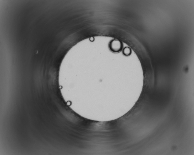 X0000103910092200809191129