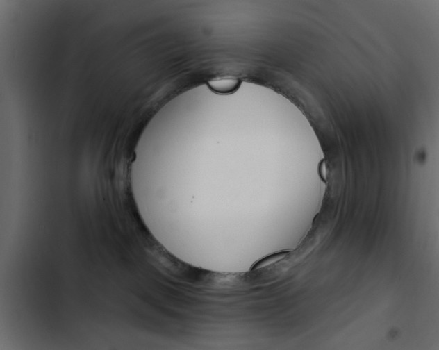 X0000103910093200809191129