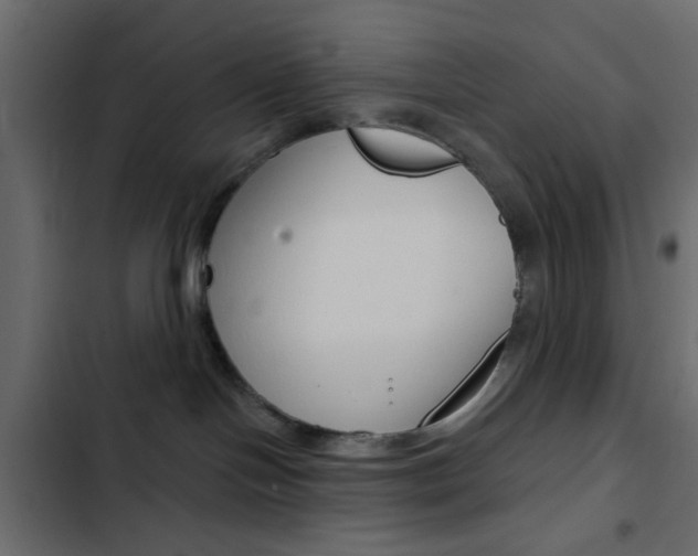 X0000103910094200809191129