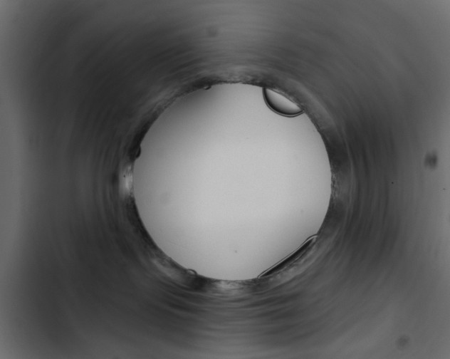 X0000103910095200809191129
