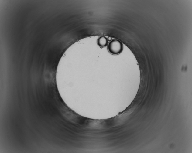X0000103910096200809191129