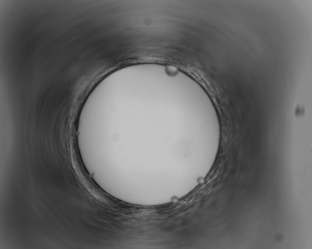 X0000103910097200809191128