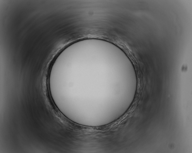 X0000103910098200809191128
