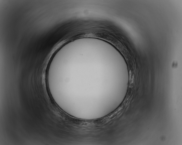 X0000103910099200809191128