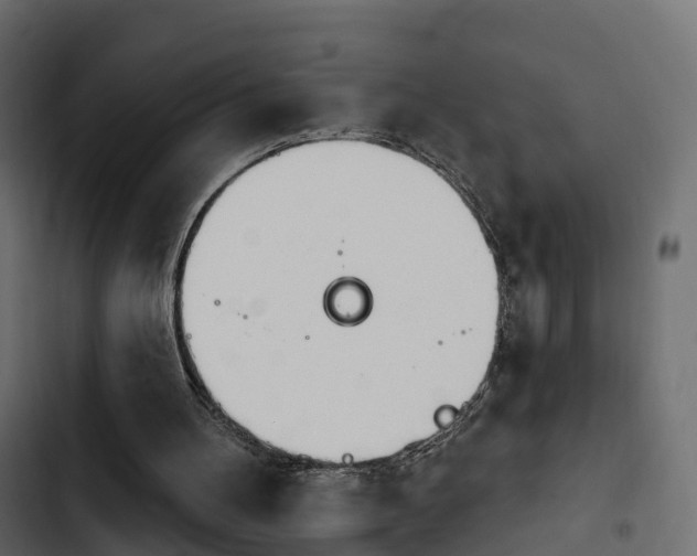 X0000103910100200809191128