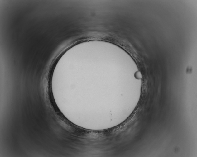 X0000103910101200809191128