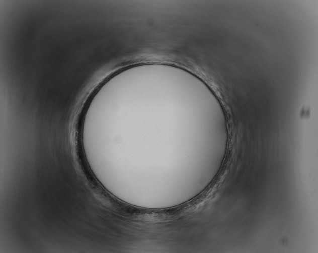 X0000103910103200809191128