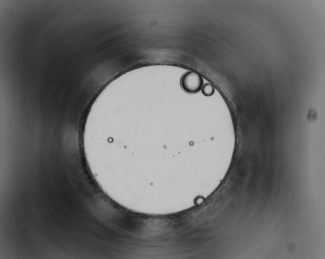 X0000103910105200809191128