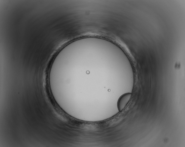 X0000103910106200809191128