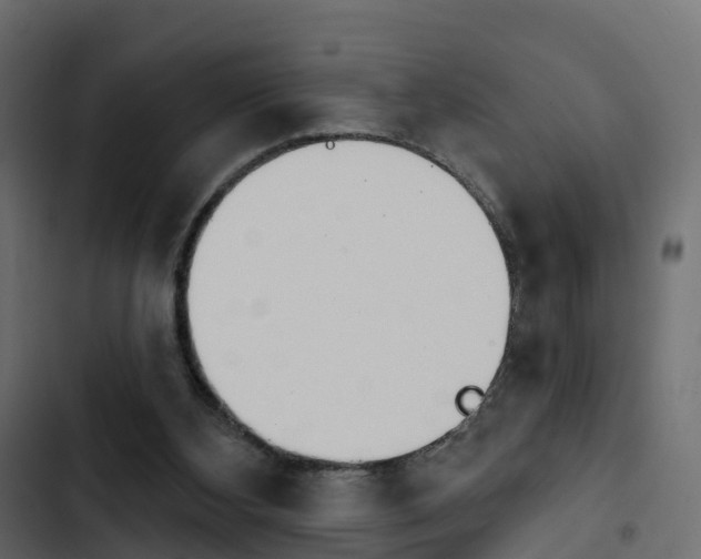 X0000103910108200809191128