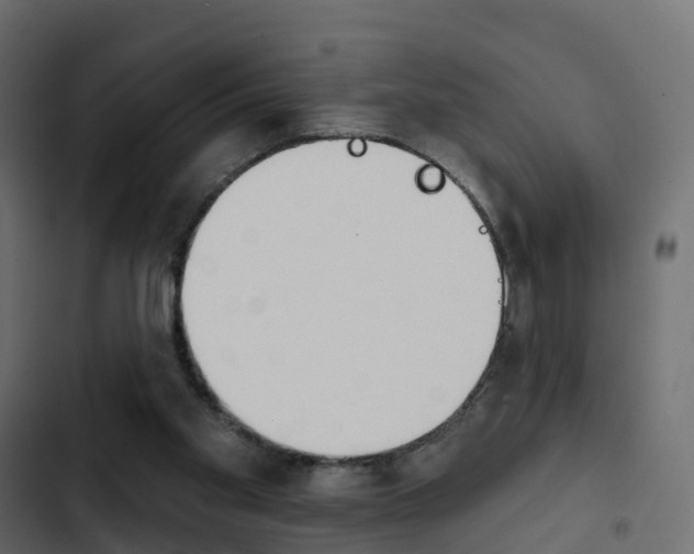 X0000103910109200809191128