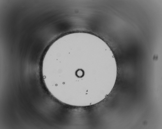 X0000103910112200809191128