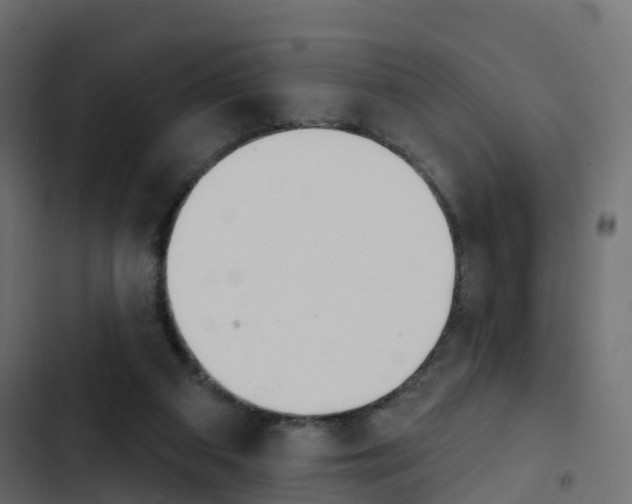 X0000103910113200809191128