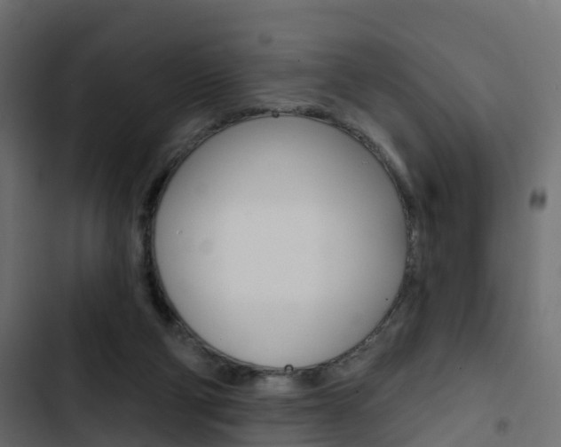 X0000103910114200809191128