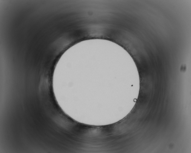 X0000103910116200809191128