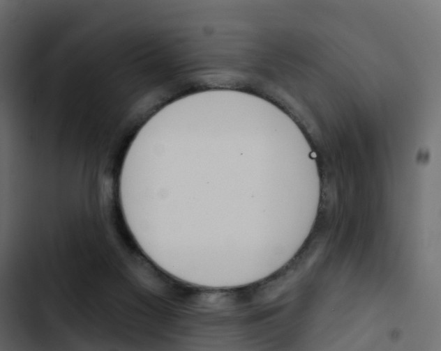 X0000103910117200809191128