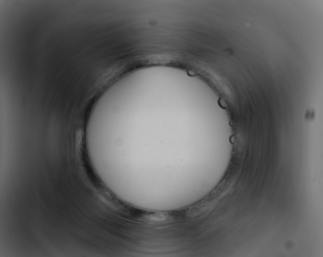 X0000103910118200809191128