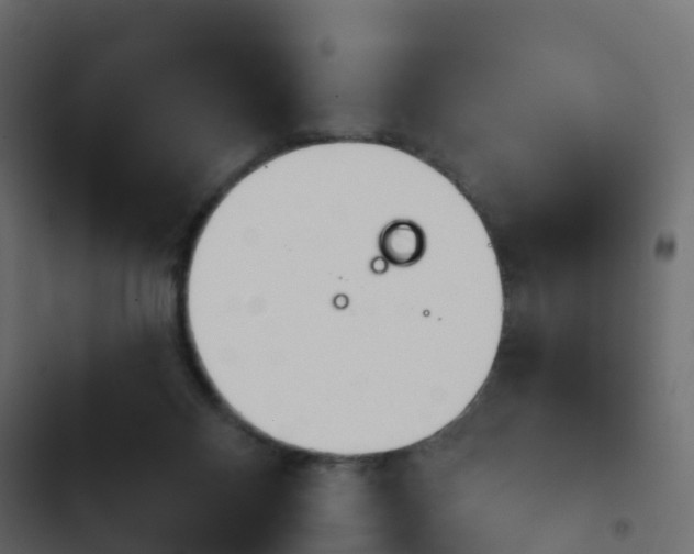 X0000103910120200809191128